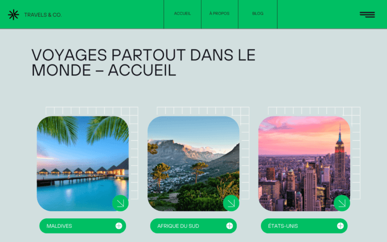 Exemple d'une page web ayant des balises mal optimisées. Créée par A Content Maker.